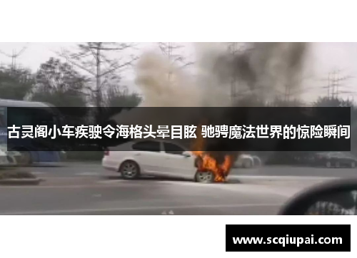 古灵阁小车疾驶令海格头晕目眩 驰骋魔法世界的惊险瞬间 古灵阁小车疾驶令海格头晕目眩 驰骋魔法世界的惊险瞬间